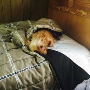 Meet your Posher, Adrian